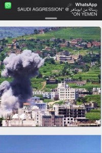 11939091_957170917672593_1074371379_n