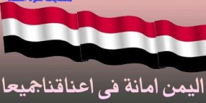 156448_360613507363801_340922896_n