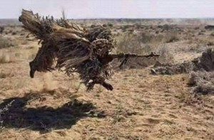 11921906_1627990290791174_1731037101_n