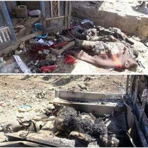 received_1157864667603216